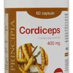 cordiceps